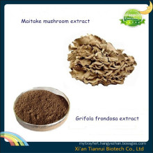 Maitake Extract/Grifola Frondosa Extract/Maitake Mushroom Extract